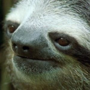 Meet your Posher, Ellen